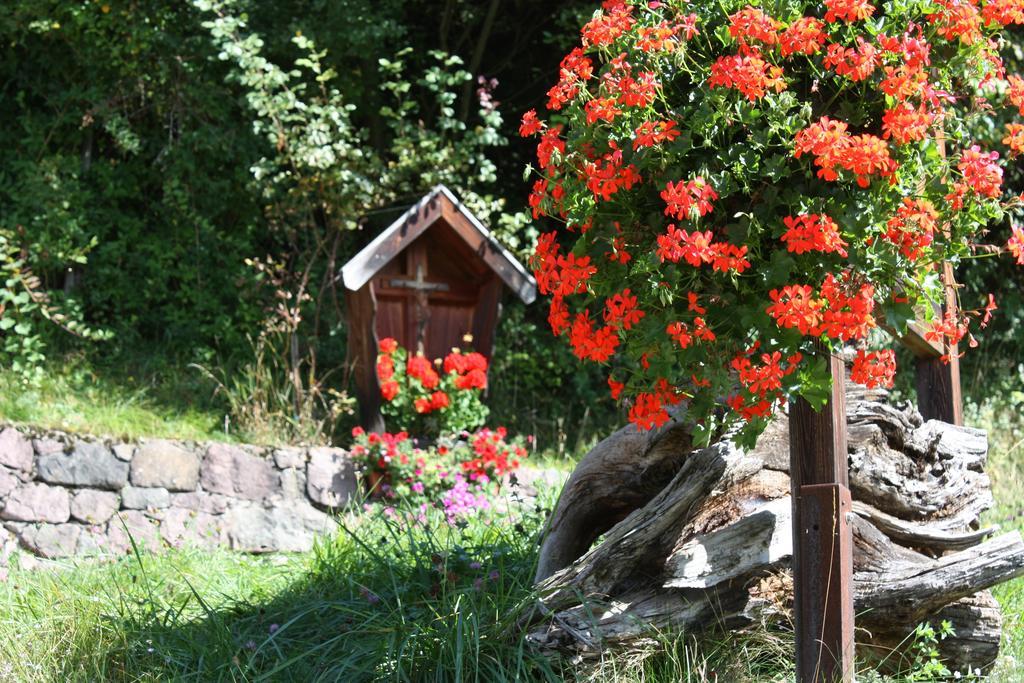 Ferienbauernhof Masunerhof Fiè Exteriör bild