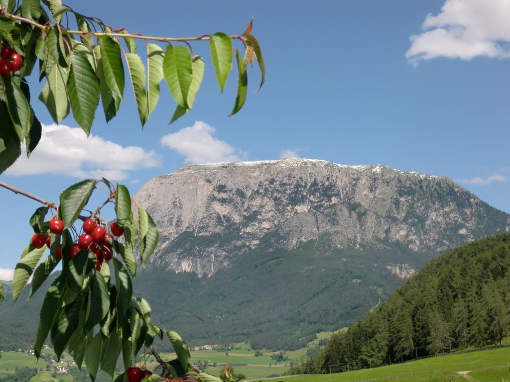 Ferienbauernhof Masunerhof Fiè Rum bild